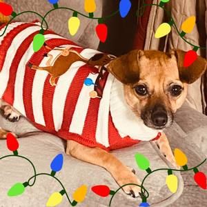 Meet your Posher, Katrina